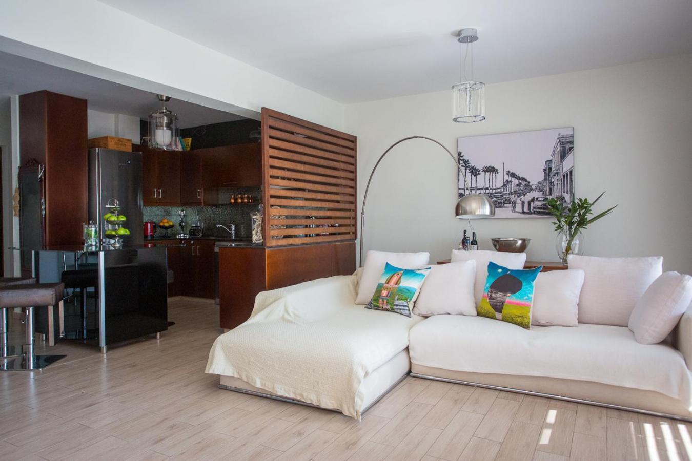 Penthouse Duplex Overlooking The Mediterranean ラルナカ エクステリア 写真